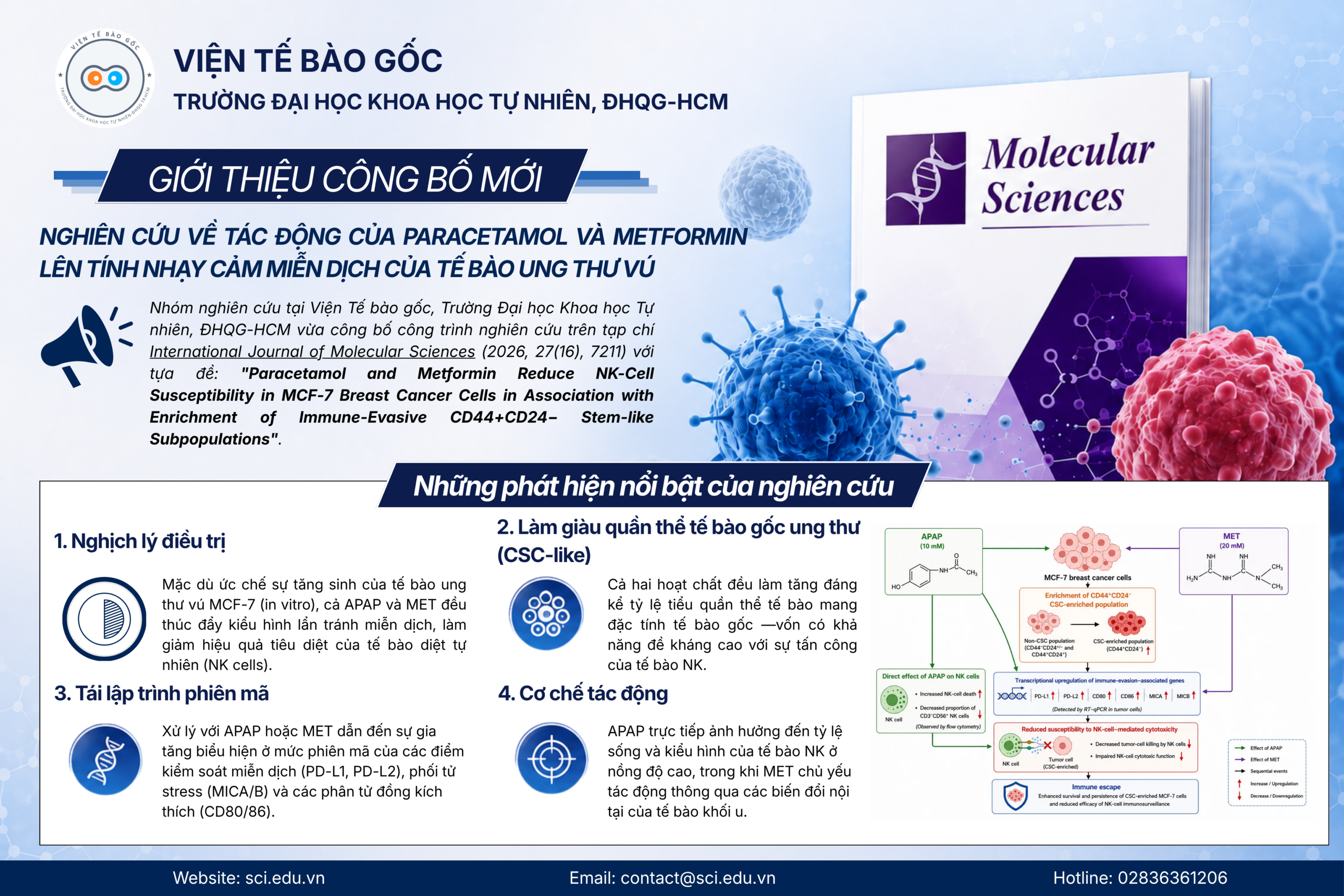 Công bố nghiên cứu về tác động của Paracetamol và Metformin lên tính nhạy cảm miễn dịch của tế bào ung thư vú