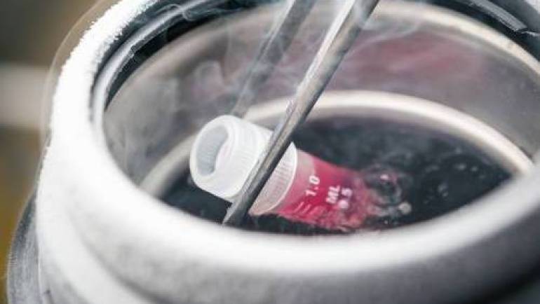 CÔNG NGHỆ CRYOSAVE – Giải pháp bảo quản đông lạnh hoàn hảo cho tế bào gốc