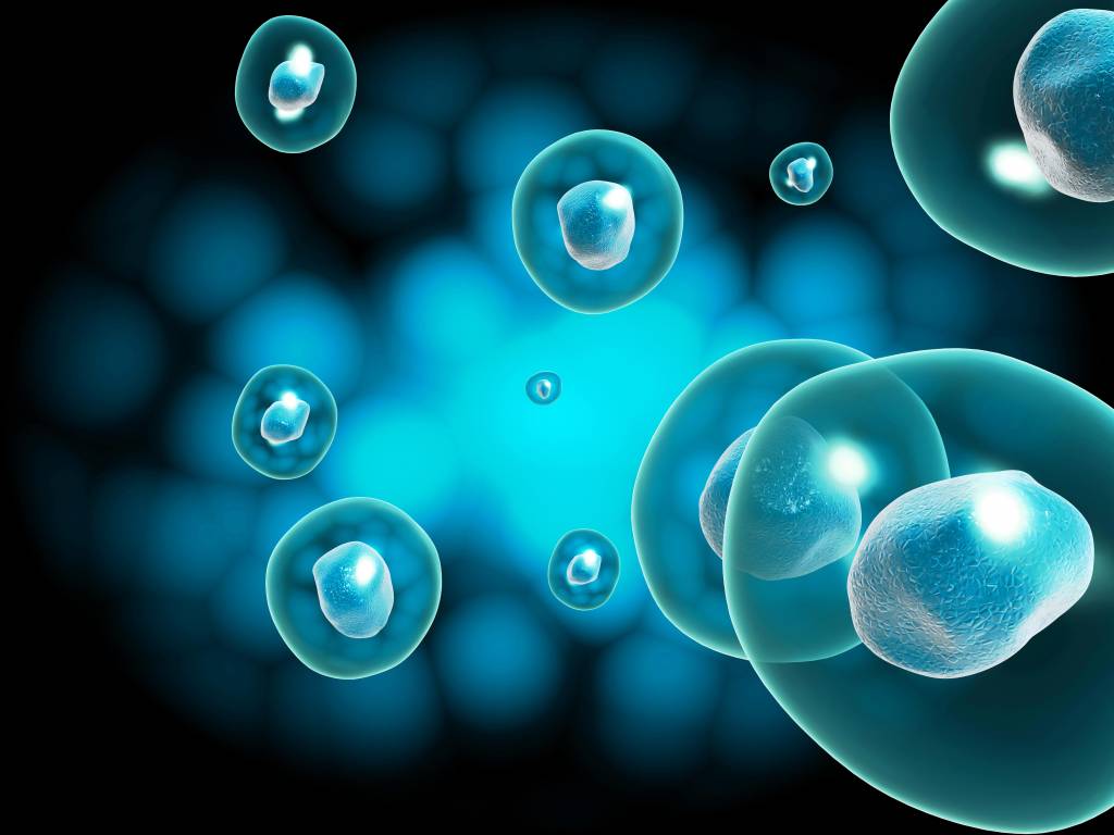 Điều trị bệnh bằng tế bào gốc: Chín điều cần biết (Kỳ 2)