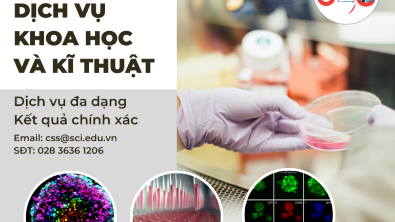 TRUNG TÂM DỊCH VỤ KHOA HỌC VÀ KĨ THUẬT – VIỆN TẾ BÀO GỐC CUNG CẤP NHIỀU DỊCH VỤ ĐÁNH GIÁ HOẠT TÍNH SINH HỌC CỦA CAO CHIẾT LÊN TẾ BÀO